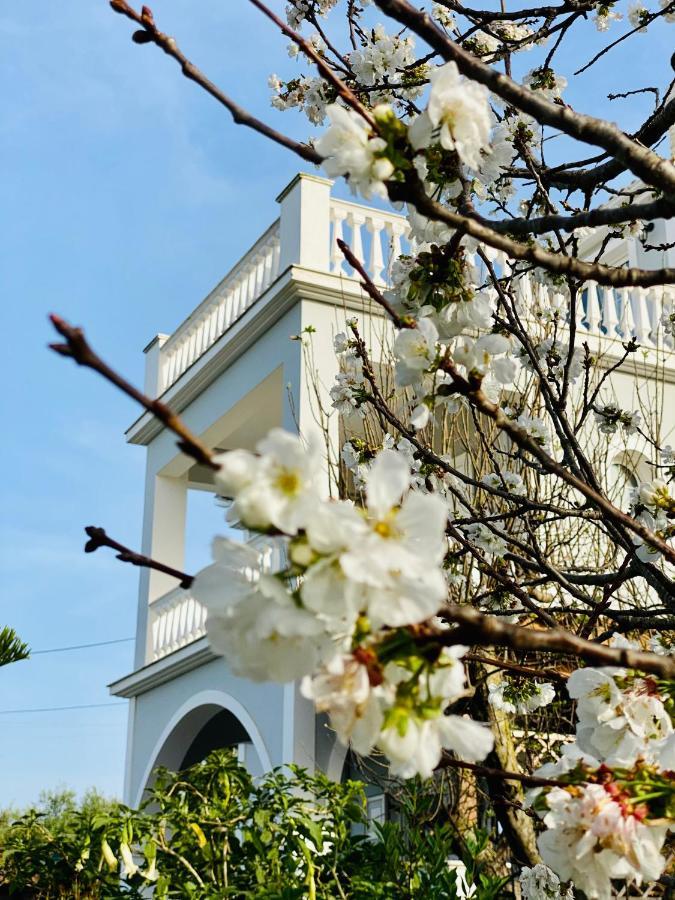 Theros Villa Plános Екстериор снимка